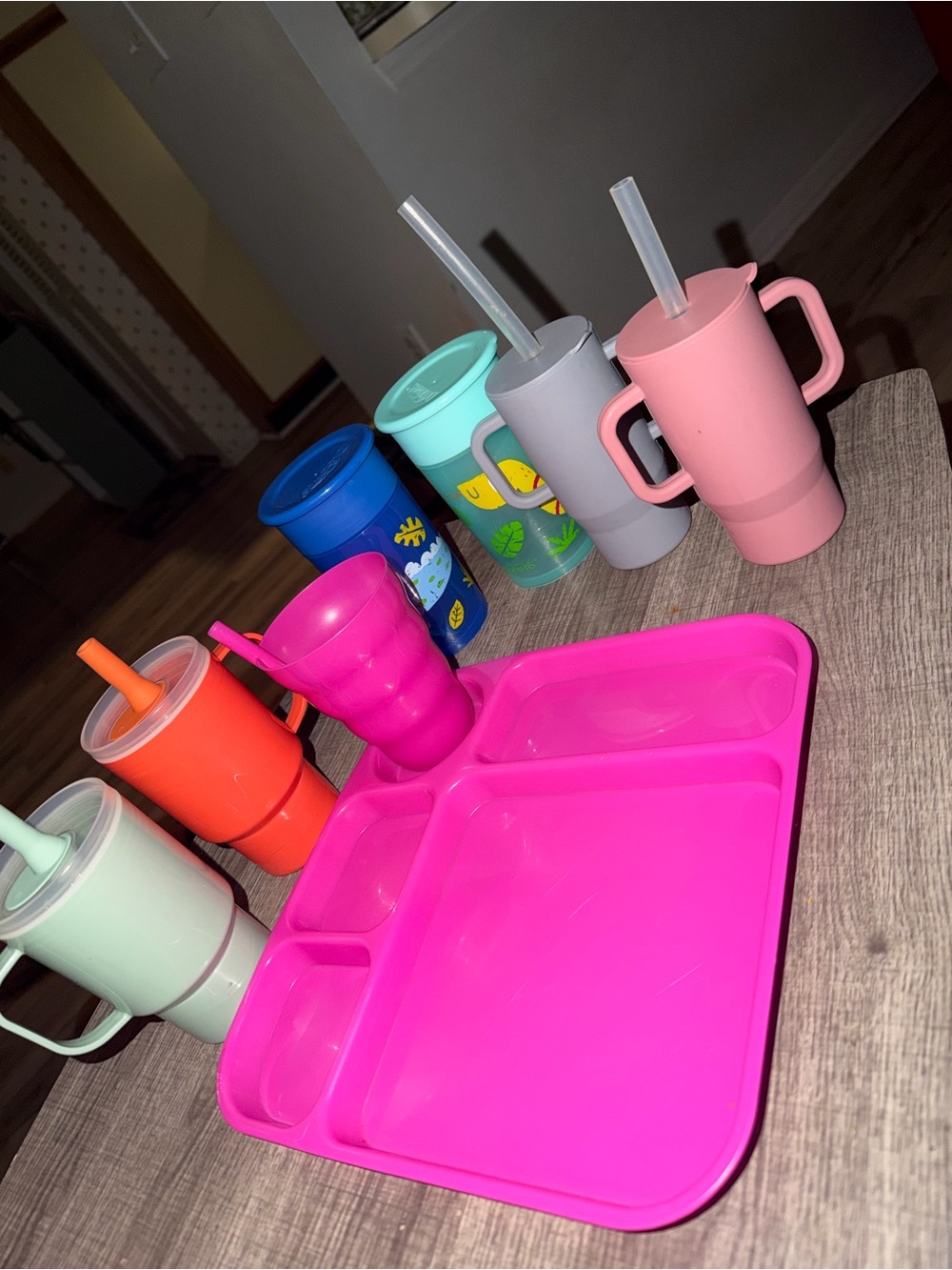 Bright Pink Silicone Section Plate with Matching Pink Cups - Unbranded